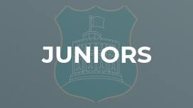 Juniors