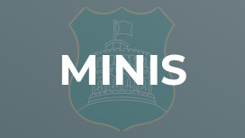 Minis