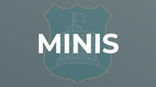 Minis