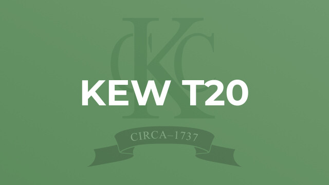 Kew T20