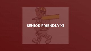 Senior Friendly XI