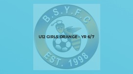 U12 Girls Orange - Yr 6/7