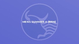 Mens Summer A (BRN)
