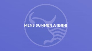 Mens Summer A (BRN)