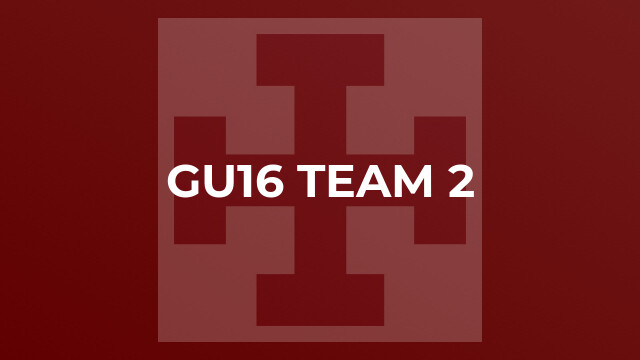 GU16 Team 2