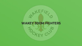 Wakey 3dom fighters