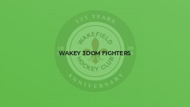 Wakey 3dom fighters