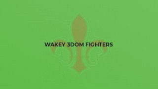 Wakey 3dom fighters