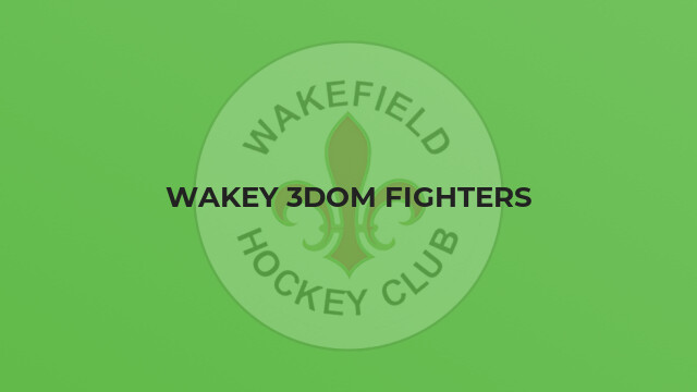 Wakey 3dom fighters