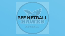 Bee Netball