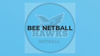 Bee Netball