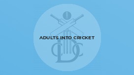 Adults Into Cricket