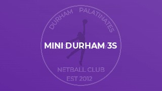 Mini Durham 3s