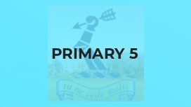 Primary 5
