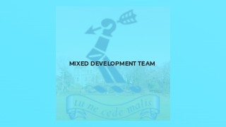 Mixed Development Team