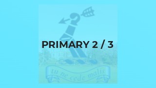 Primary 2 / 3