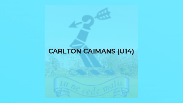 Carlton Caimans (U14)