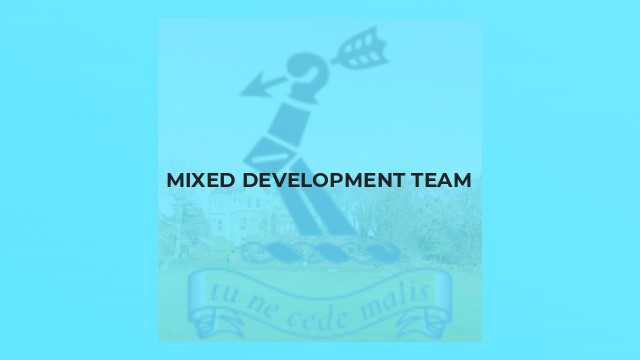 Mixed Development Team