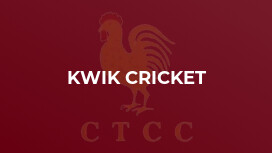 Kwik Cricket