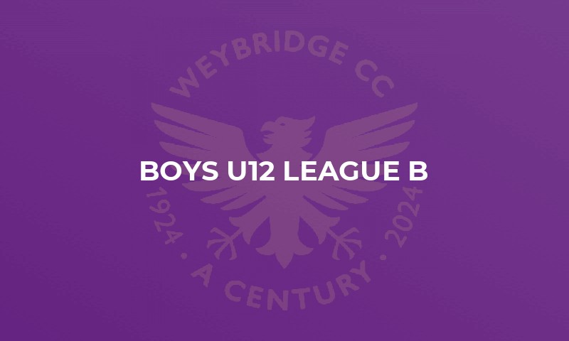 Boys U12 League B
