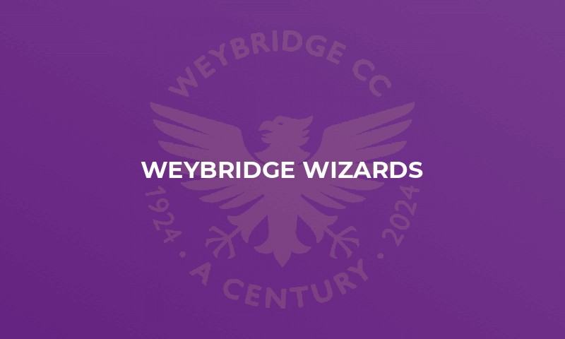 Weybridge Wizards