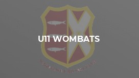 U11 Wombats