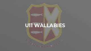 U11 Wallabies