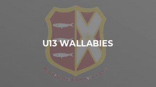 u13 Wallabies