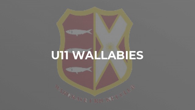 U11 Wallabies