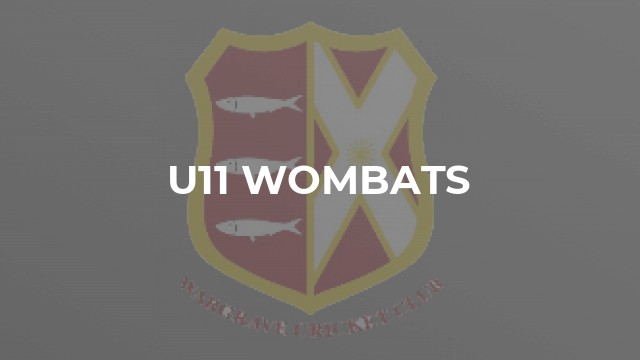 U11 Wombats