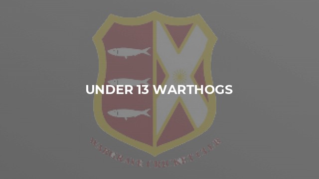 Under 13 Warthogs