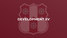 Development XV