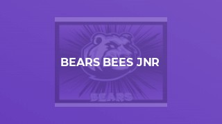 BEARS BEES Jnr