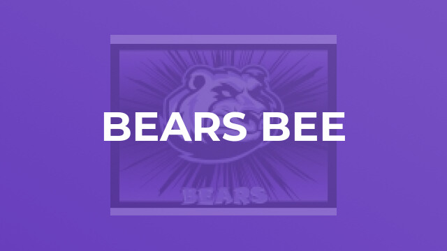 BEARS Netball Club Bears Bee