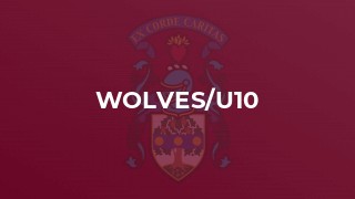 Wolves/U10