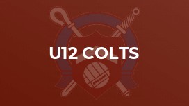 U12 Colts