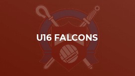 U16 Falcons