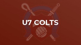 U7 Colts