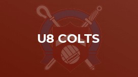 U8 Colts