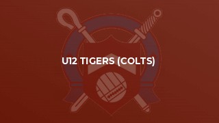 U12 Tigers (Colts)