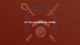 U17 Yellow (Bristol Comb)