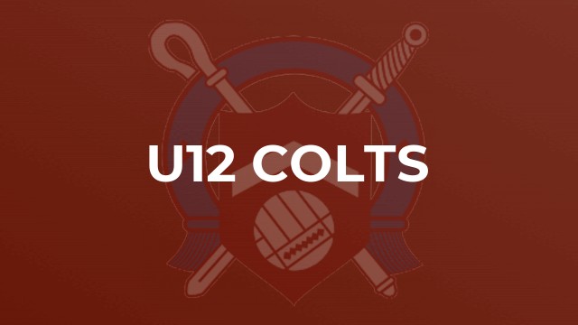 U12 Colts