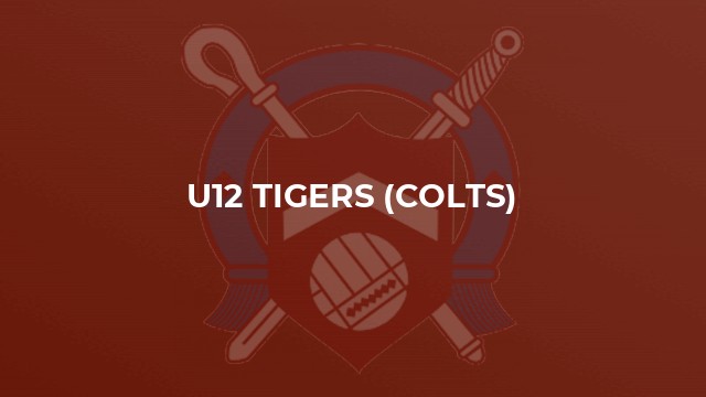 U12 Tigers (Colts)