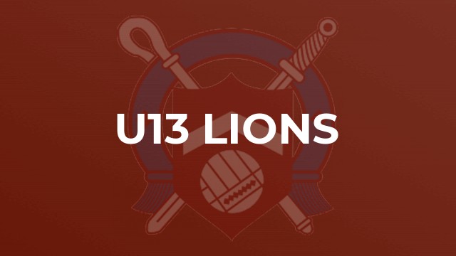 U13 Lions