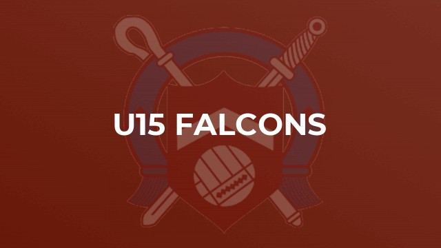 U15 Falcons