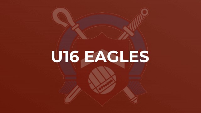 U16 Eagles