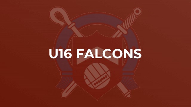 U16 Falcons