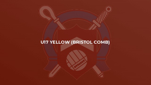 U17 Yellow (Bristol Comb)