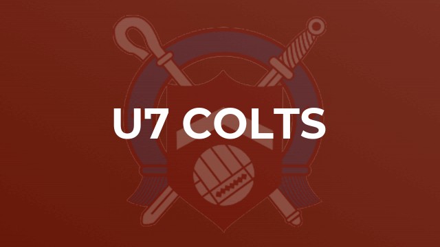 U7 Colts