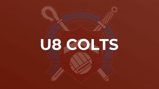 U8 Colts